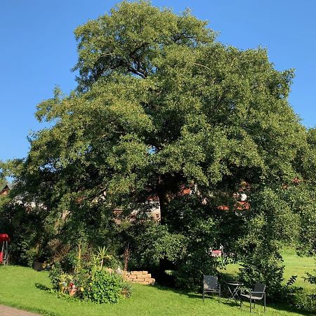 Ferienwohnung Am Rennsteig Bei Eisenach - Ilona Schmidt Wolfsburg-Unkeroda المظهر الخارجي الصورة