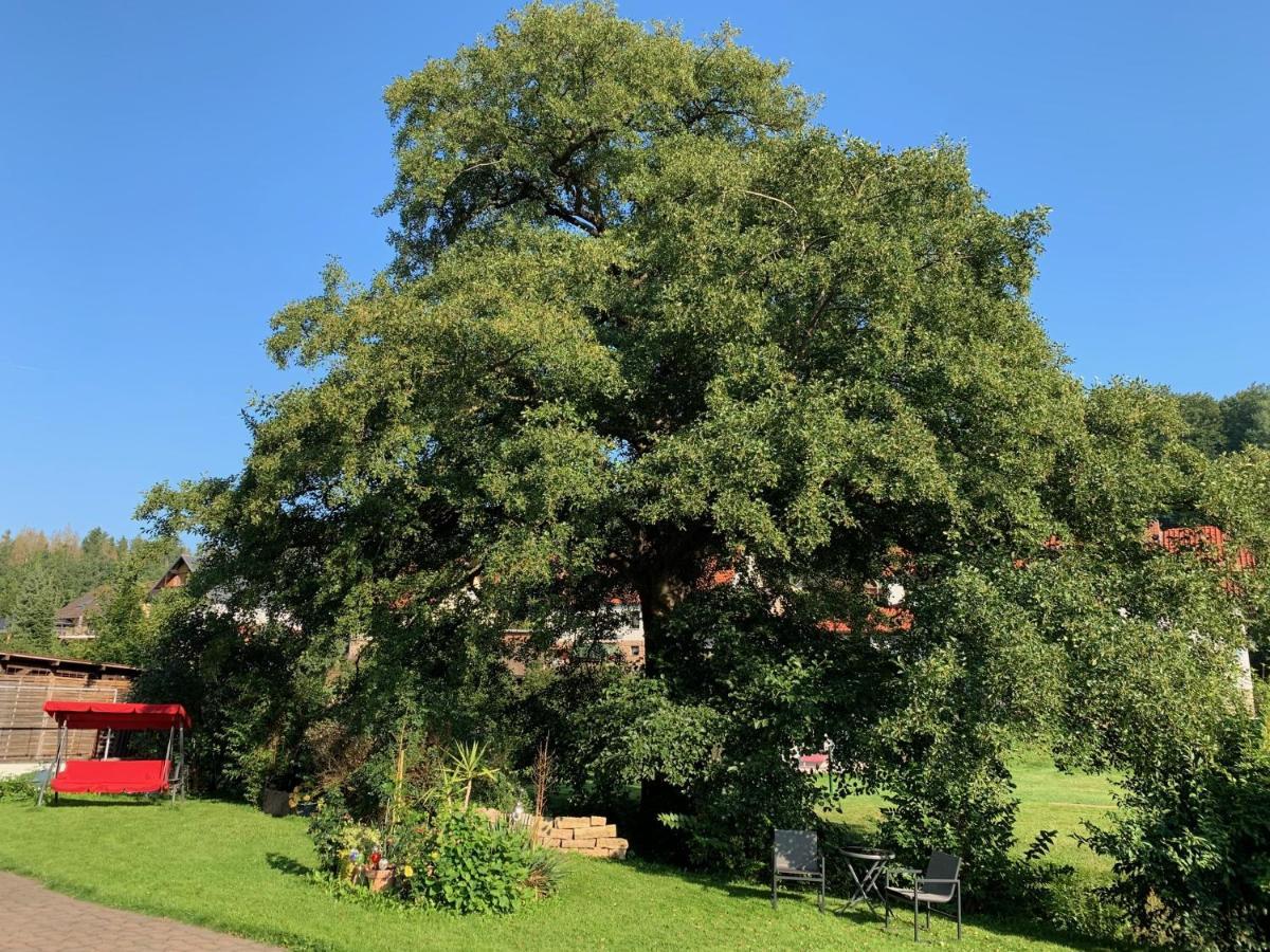 Ferienwohnung Am Rennsteig Bei Eisenach - Ilona Schmidt Wolfsburg-Unkeroda المظهر الخارجي الصورة